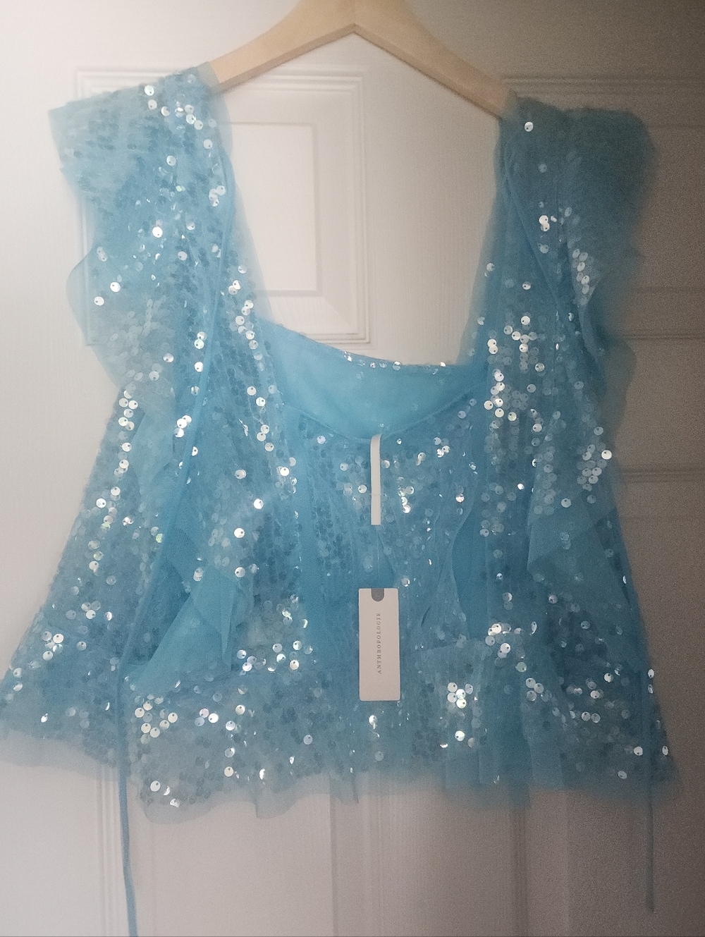 Anthropologie Sequin Blouse